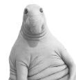 Goki Kweepad